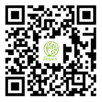 កូដ QR កូដ QR